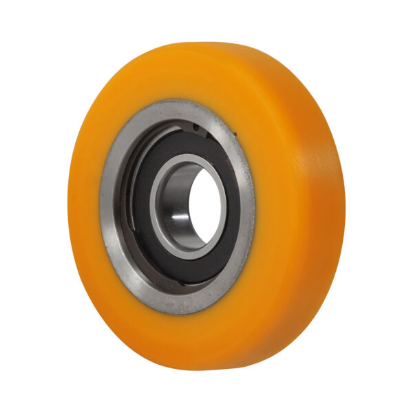 ROLLER, GUIDE D=100 (DG120)